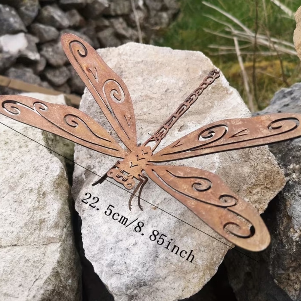 Dragonfly - Picture 7 of 8
